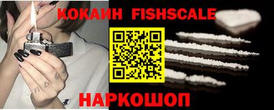 индика Кингисепп