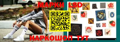 индика Кингисепп