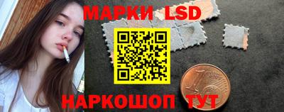 индика Кингисепп