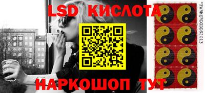 индика Кингисепп