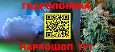 крисы Кимры