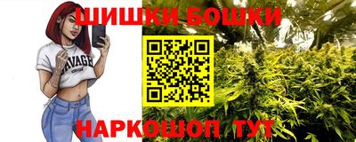 индика Кингисепп