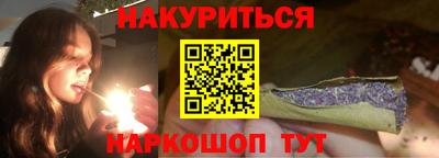 индика Кингисепп