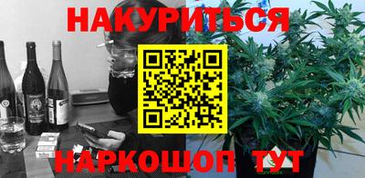 индика Кингисепп