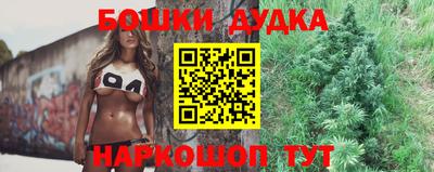 индика Кингисепп