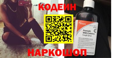 индика Кингисепп