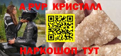 индика Кингисепп