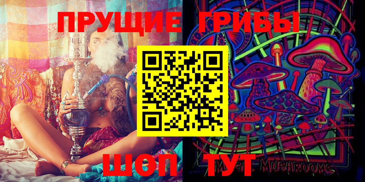 Псилоцибиновые грибы мицелий Кузнецк